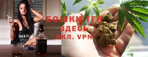 дурь Михайловск