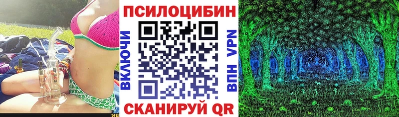 наркотики  Ейск  Галлюциногенные грибы Cubensis 