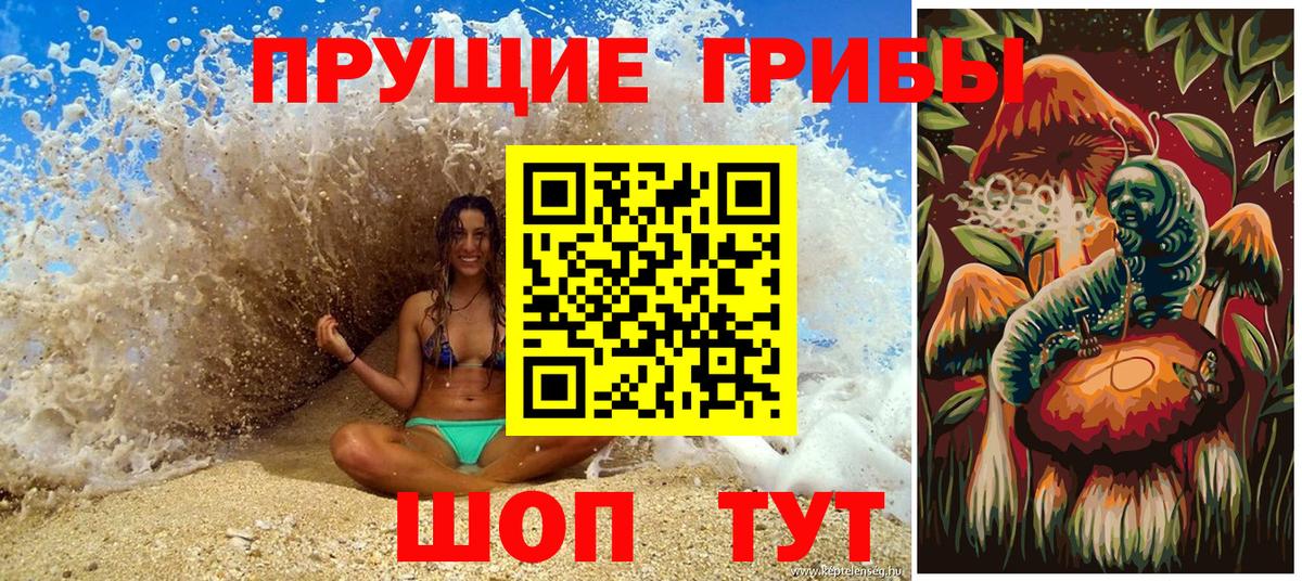 Ейск  Псилоцибиновые грибы Psilocybe  Вход с VPN  Псилоцибиновые грибы GOLDEN TEACHER 